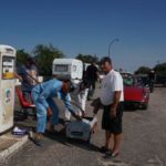 La "Demoiselle de Sochaux" était-elle fille-mère à l'époque ?  en temoigne ce rejeton!